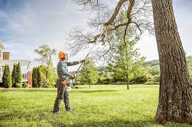 Why Choose Our Tree Removal Services in St Vincent College, PA?